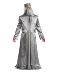 Harry Potter Dumbledore deluxe costume for adults.