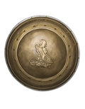 Batman v Superman Wonder Woman shield costume accessory for kids.