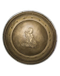Batman v Superman Wonder Woman shield costume accessory for women.