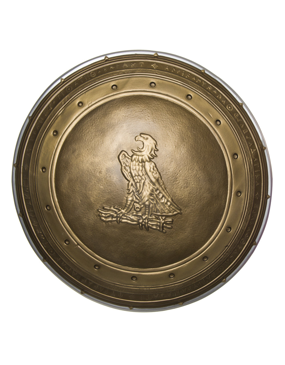 Batman v Superman Wonder Woman shield costume accessory for women.