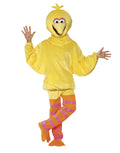 Sesame Street Big Bird costume for adults.