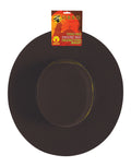Zorro hat costume accessory for kids.