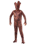 Guardians of the Galaxy Groot costume for kids.