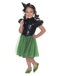 The Wizard of Oz Wicked Witch of the West costume for kids.