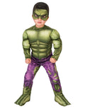 Marvel Comics Hulk deluxe toddler costume for kids.