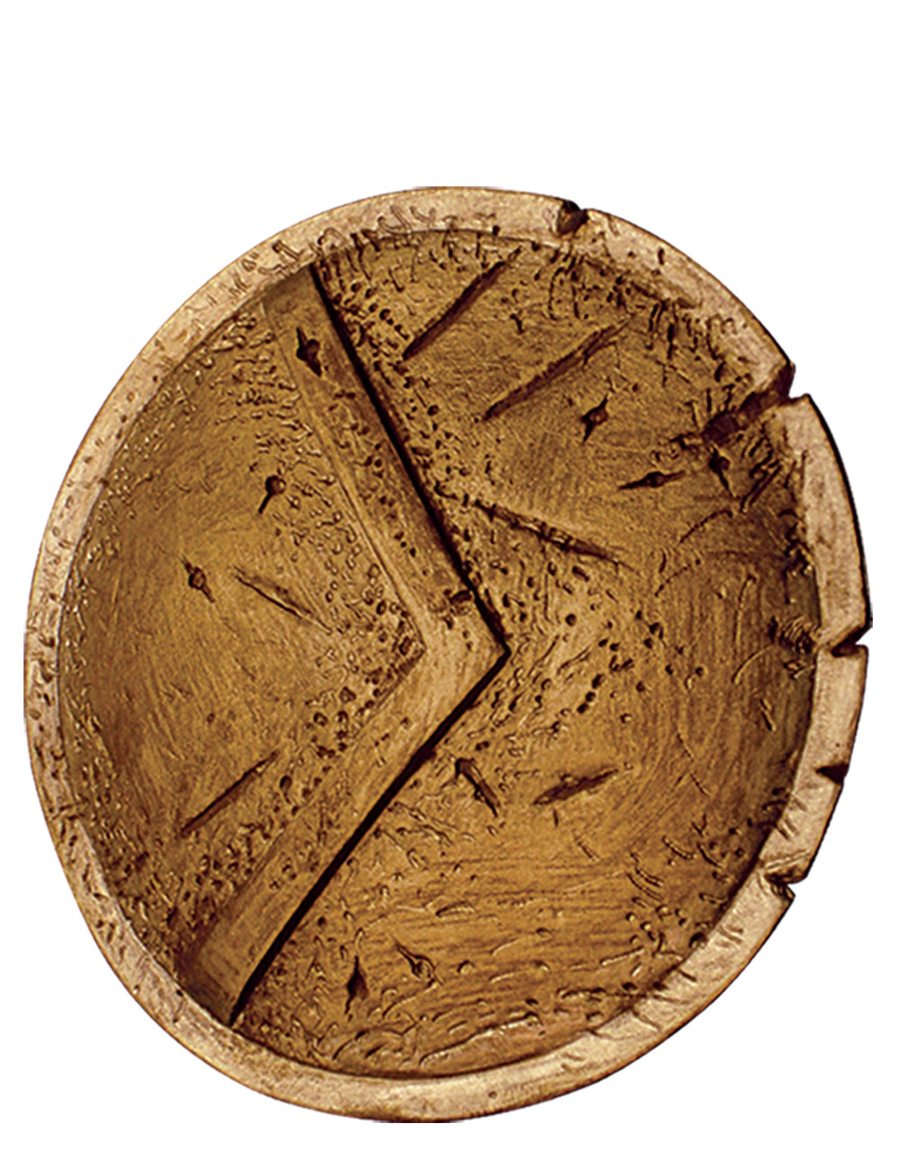 300 Spartan shield costume accessory for adults.