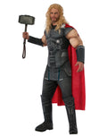 Thor Ragnarok Thor costume for adults.