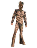 Avengers Infinity War Groot costume for adults.