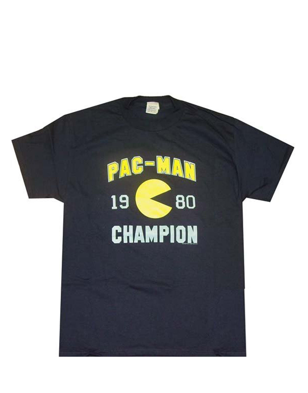 Champion graphic on a blue adult t-shirt.