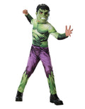 The Avengers Hulk costume for kids.