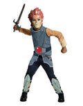 Thundercats Lion-O costume for kids.
