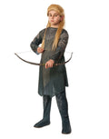 Lord of the Rings Legolas Greenleaf costume for kids.