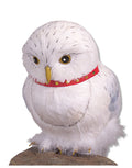 Harry Potter Hedwig the owl costume accessory for kids and adults.