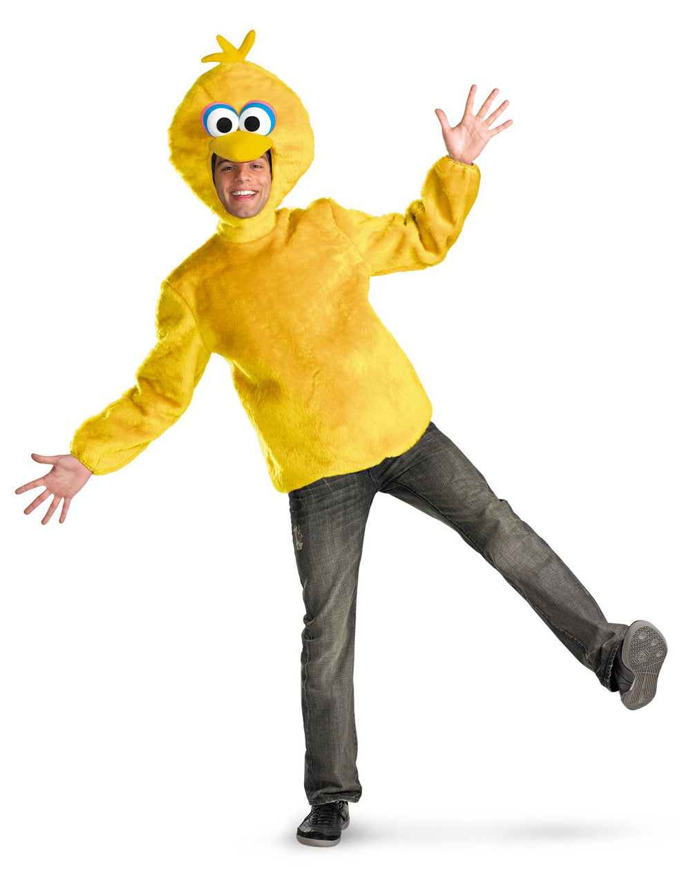 Sesame Street Big Bird costume for adults.