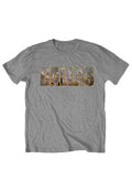 Dallas skyline graphic on a heathered grey adult t-shirt.