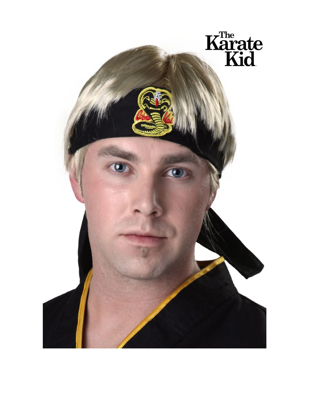 Karate Kid Johnny wig costume accessory for adults.