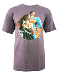 DC Comics Trinity graphic on a purple adult t-shirt.