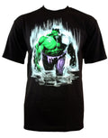 Hulk rain wading graphic on a black adult t-shirt.